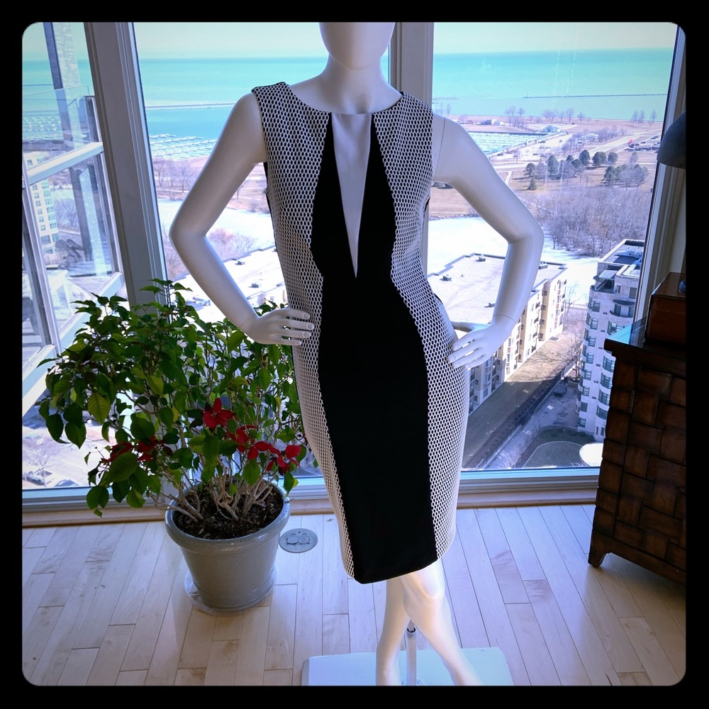 Frank Lyman dress